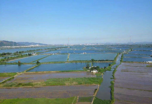 果殼活性炭在魚塘的使用領域